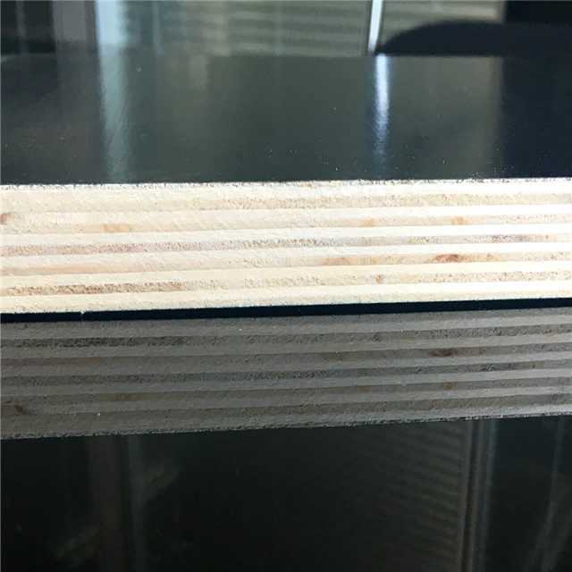 Black Film Faced Plywood For Building
